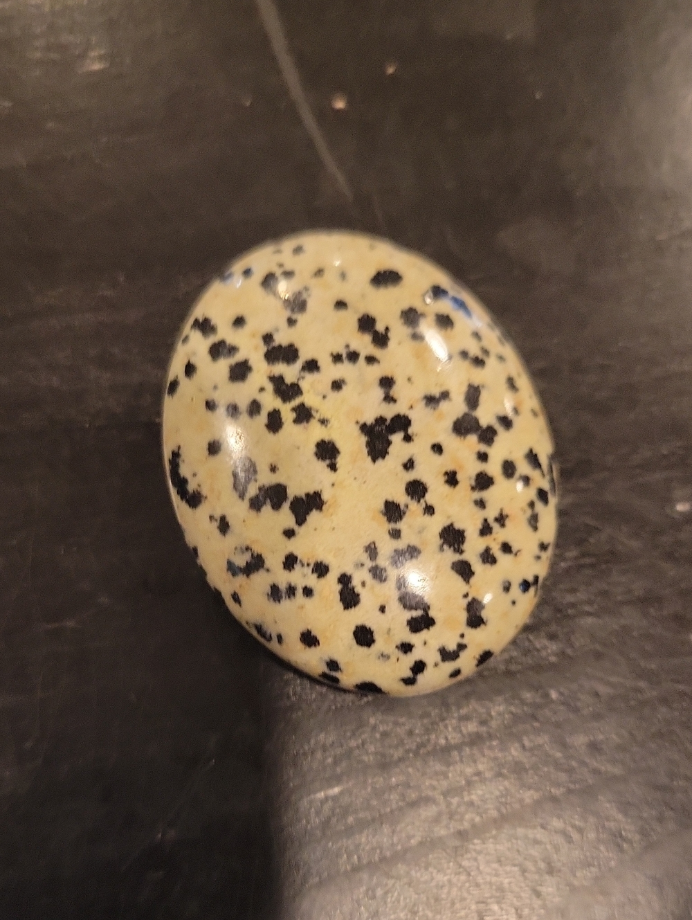Polished Dalmatian Jasper Palm Stone - Crystal